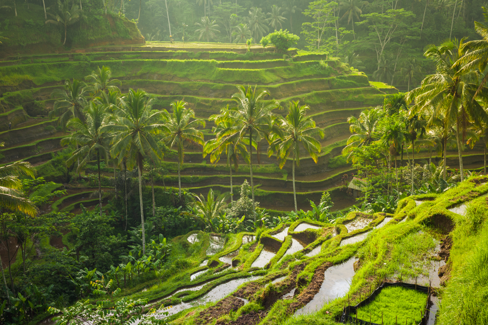 Những điều cần biết khi đến Bali cổ vũ đội tuyển Việt Nam 