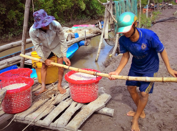 Giá ruốc tuy thấp, nhưng trúng mùa nên ngư dân bớt lo lắng.