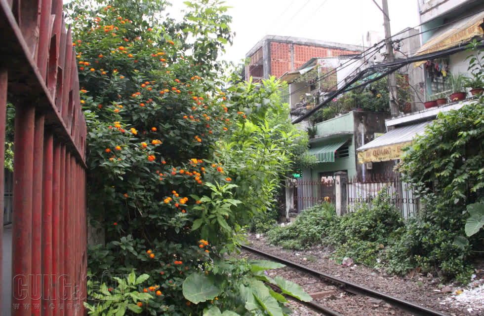 Cuộc sống an yên ở xóm đường tàu giữa lòng Sài Gòn