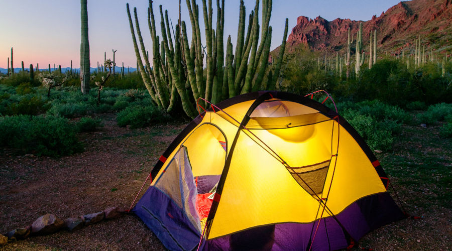   Khu cắm trại Twin Peaks. Đi về phía Nam ở Mexico, công viên này hội tụ một loạt các hệ thực vật sa mạc, bao gồm saguaro giống như sentinel và xương rồng ống organ. Để ngắm nhìn chúng bạn hãy chọn cách lái xe hơi hoặc đi xe đạp trên đường Ajo Mountain.   Nếu thích khung cảnh hoàng hôn buông dần, bạn có thể chọn cách đi bộ trên những con đường mòn ngắn dẫn từ nơi cắm trại men theo lối 2 bên cánh rừng hoang sơ nhưng kì vĩ lạ kỳ, nơi có 208 khu vườn thực vật được bao quanh bởi những cây xanh sa mạc tươi tốt.  