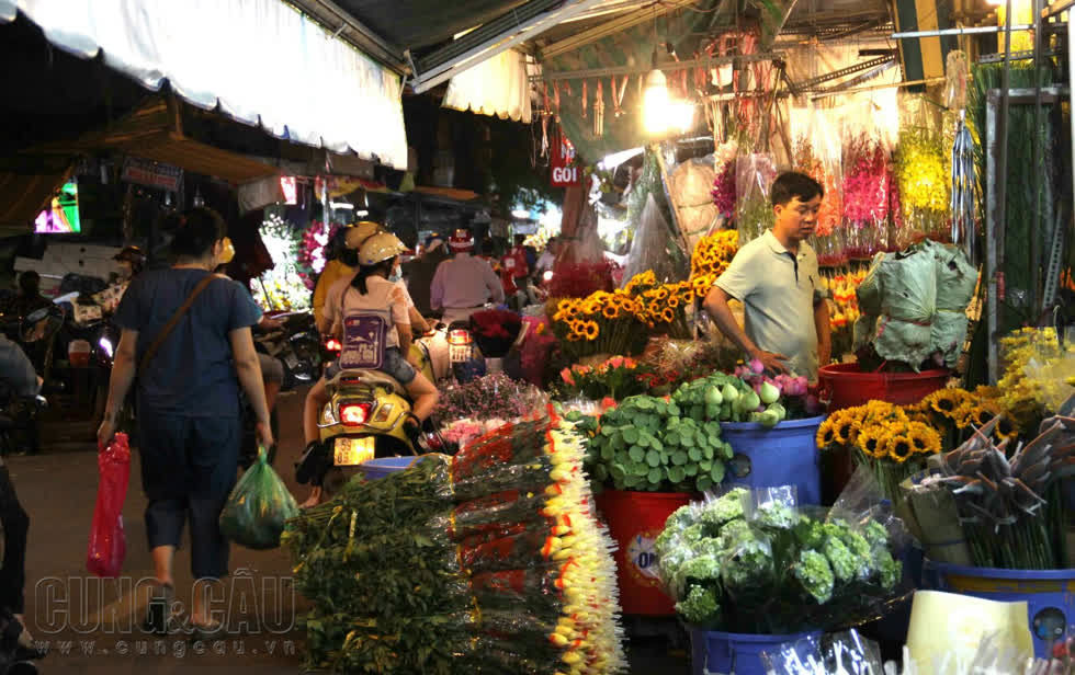 Mặc dù giá thành cao nhưng lượng hoa vẫn không đủ cung cấp cho thị trường hiện tại