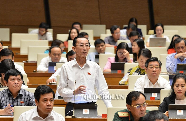 Đại biểu  Trần Hoàng Ngâ n