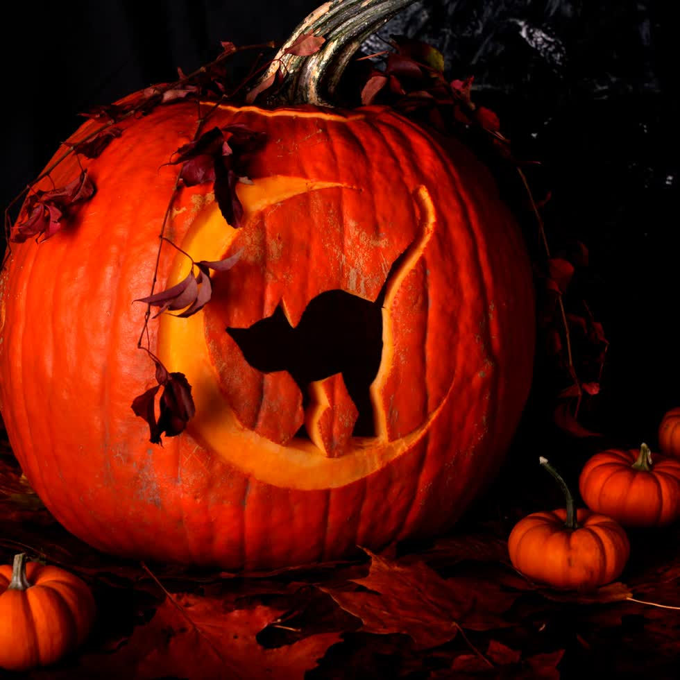 20 ý tưởng trang trí bí ngô trong dịp Halloween năm nay