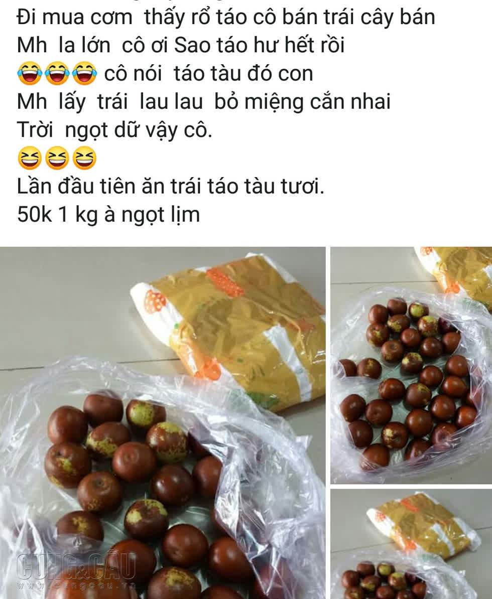 Táu tào được bày bán ngoài đường được bán với giá 50.000 đồng/kg.