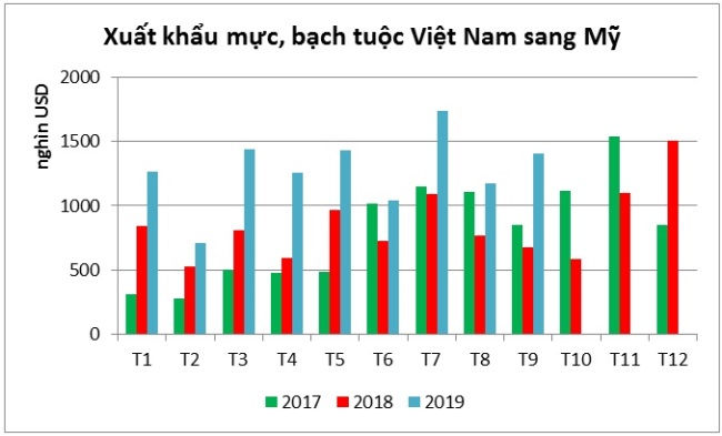 Xuất khẩu mực, bạch tuộc Việt Nam sang Mỹ tăng mạnh