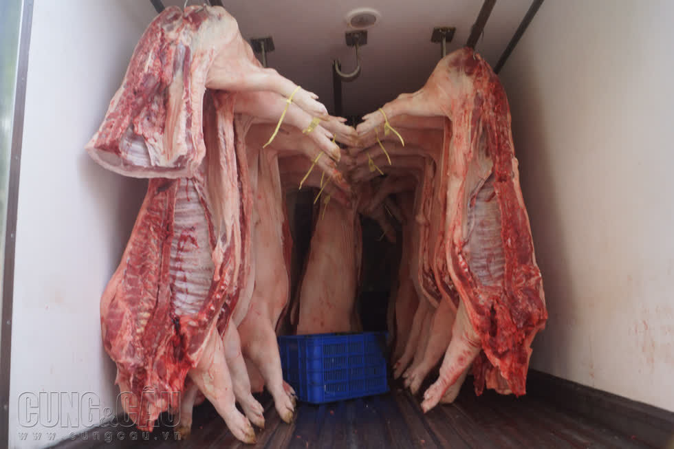 Giá thịt heo tăng cao ảnh hưởng đến nhiều ngành hàng.