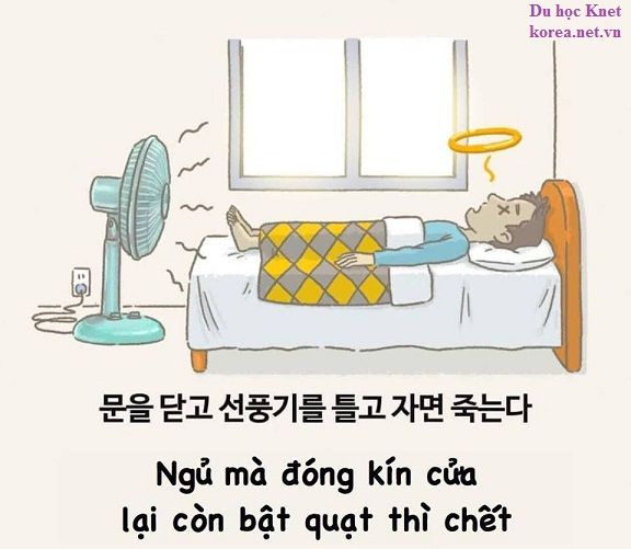   Hàn Quốc: Người dân quan niệm bật quạt khi đang ngủ trong phòng kín hoặc không cửa sổ có thể dẫn đến tử vong. Điều này đặc biệt được lưu ý với trẻ nhỏ và người già.  