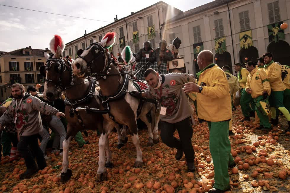   Lễ hội Battle of the Oranges được tổ chức tại Ivrea, Ý nhằm đánh dấu cuộc nổi dậy của người dân chống lại các lãnh chúa độc tài cai trị thị trấn vào thời Trung cổ.   