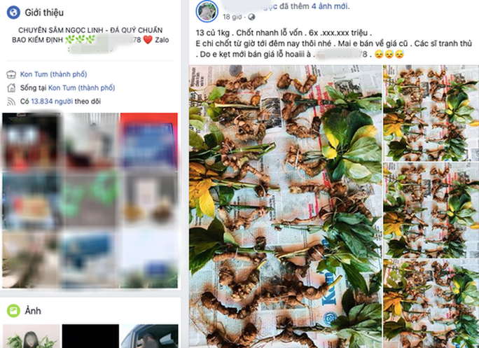 Sâm Ngọc Linh được bày bán tràn lan trên mạng xã hội không rõ nguồn gốc và chất lượng. Ảnh: Hoàng Thanh