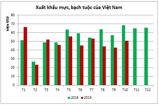 Xuất khẩu mực, bạch tuộc tiếp tục giảm trong tháng 10