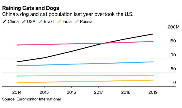 Số lượng chó mèo ở Trung Quốc tăng mạnh trong 5 năm qua. Ảnh: Bloomberg.
