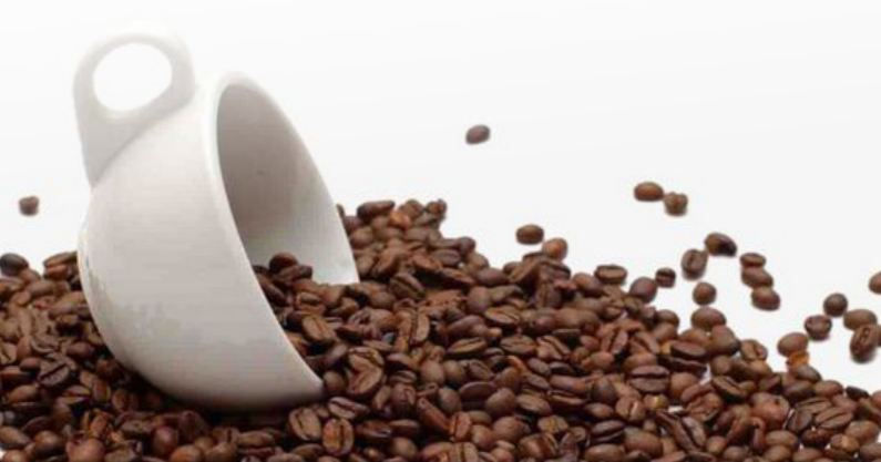 Giá cà phê trong nước bất ngờ giảm gần 1 triệu đồng/tấn 