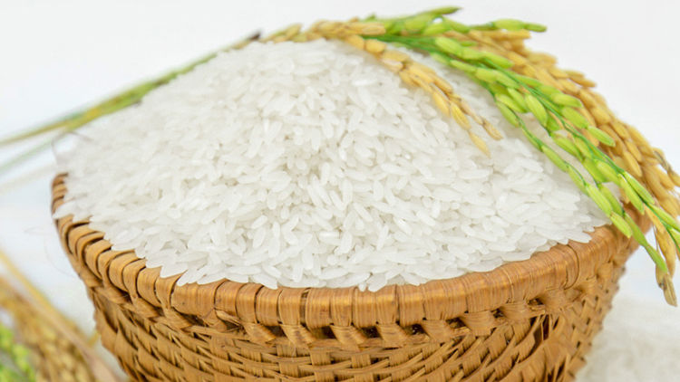 Xuất khẩu 13/12 ổn định, gạo lẻ giảm nhẹ tại các chợ