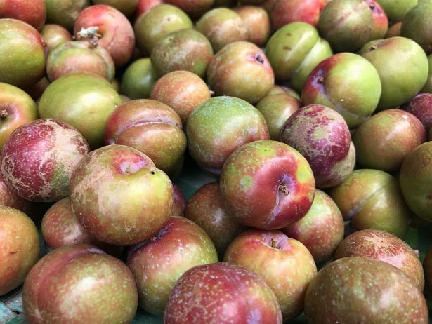 Thị trường trái cây tuần qua (9-14/12/2019): Nhiều loại trái cây đua nhau giảm giá
