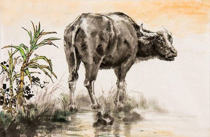 Tử vi hàng ngày 20/12/2019 của 12 con giáp: Sửu may mắn về tài chính, Thân không sáng tạo