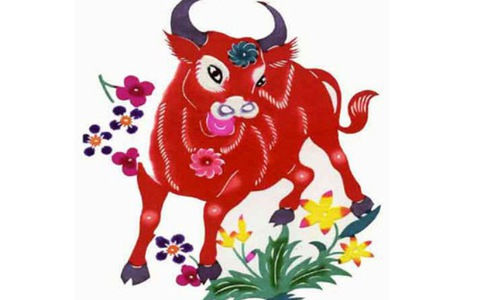 Tử vi tài chính thứ 7 ngày 21/12/2019 của 12 con giáp: Dần chi tiêu thông minh, Tỵ có thể thua lỗ