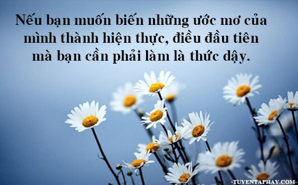 Tử vi hàng ngày 30.12.2019 của 12 con giáp: Sửu tràn đầy sức sống, Mẹo có nhiều người ngưỡng mộ