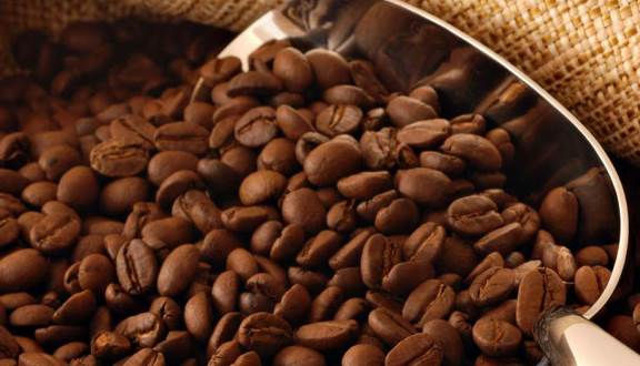 Giao dịch cuối tuần khả quan, giá cà phê Tây nguyên tăng mạnh ngày 28/12