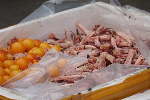 Một thùng sản phẩm lưỡi vịt và trứng gà non được tập kết và bốc xếp tại siêu thị MM Mega Market.