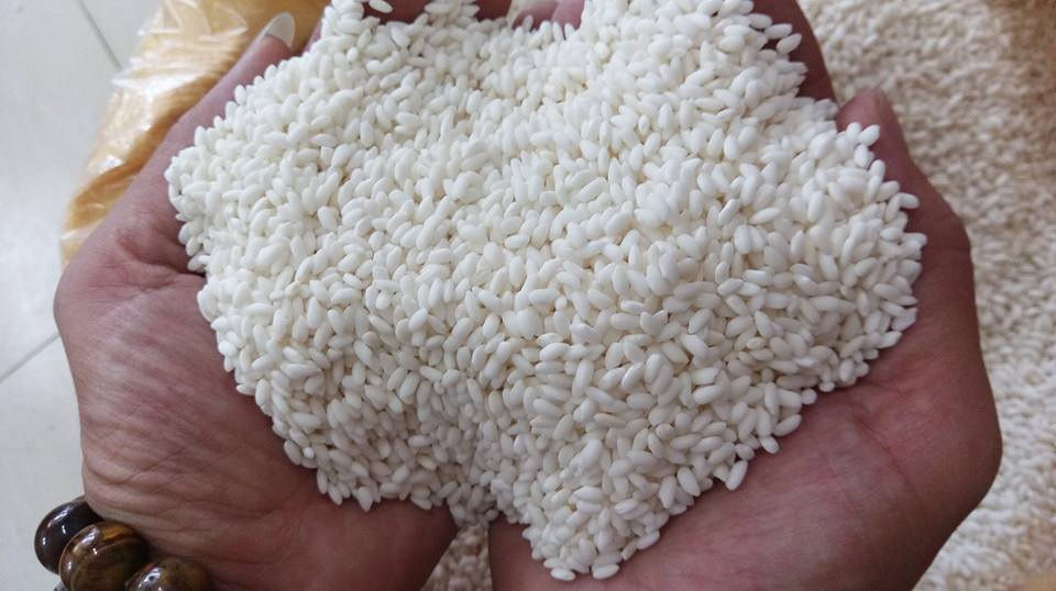 Giá gạo xuất khẩu tiếp tục tăng giá