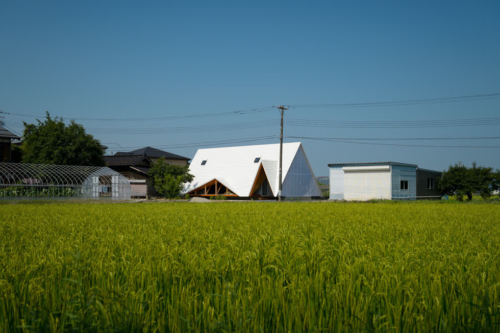 Ngôi nhà hình lều nổi bật ở một ngôi làng Nhật Bản  