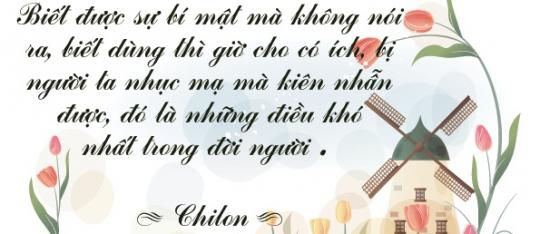 Tử vi hàng ngày 3.1.2020 của 12 con giáp: Thìn tài chính không tốt, Tý thái độ tích cực