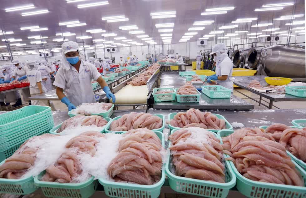 Xuất khẩu thủy sản năm 2019 cán đích với 8,6 tỷ USD.