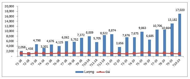 Biểu đồ nhập khẩu thịt lợn của Việt Nam qua các tháng trong năm 2019. Nguồn: Tổng cục Hải quan