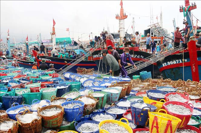 Báo cáo ngành hàng thủy sản cuối tháng 12/2019: Xuất khẩu tăng tháng thứ 6 liên tiếp.