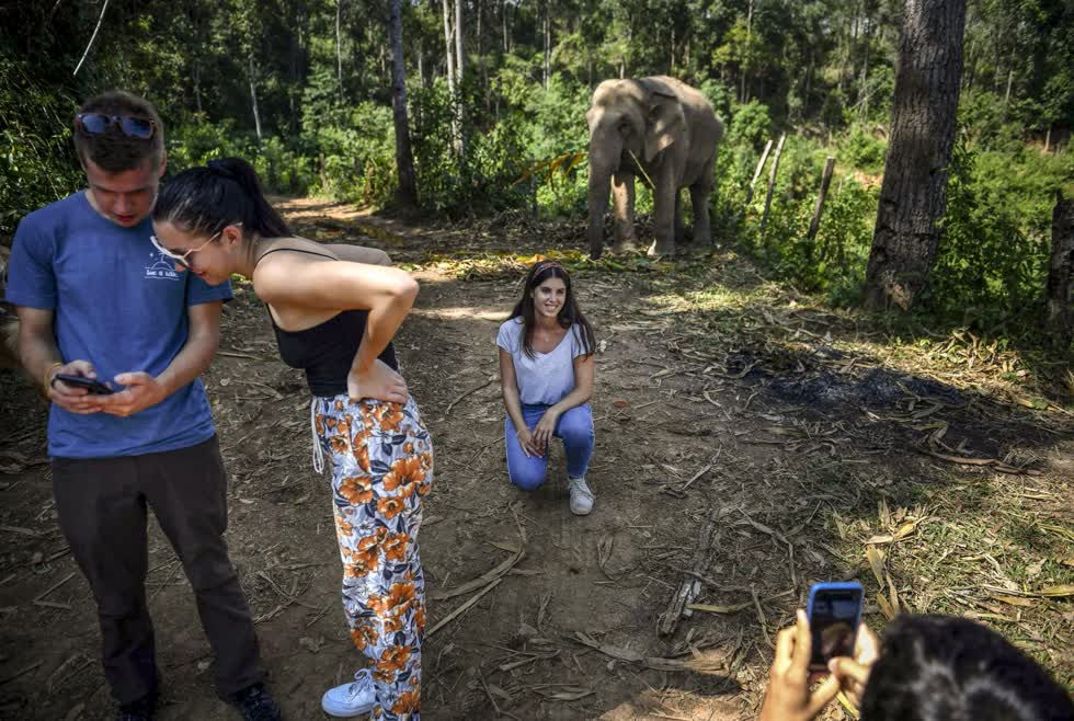 Cùng chụp ảnh với voi tại khu bảo tồn ChangChill.