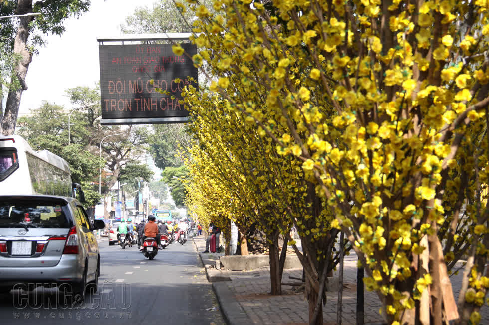 Đường phố Sài Gòn bắt đầu trang trí đón xuân Canh Tý, vẫn là “hoa lá cành”