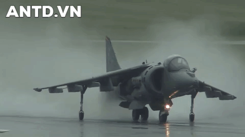   Tiêm kích AV-8B Harrier II   