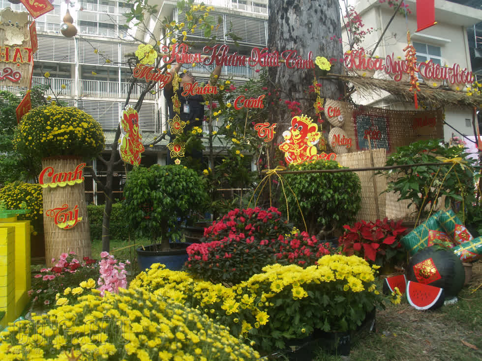 Độc đáo đường hoa Tết tại Bệnh viện Chợ Rẫy