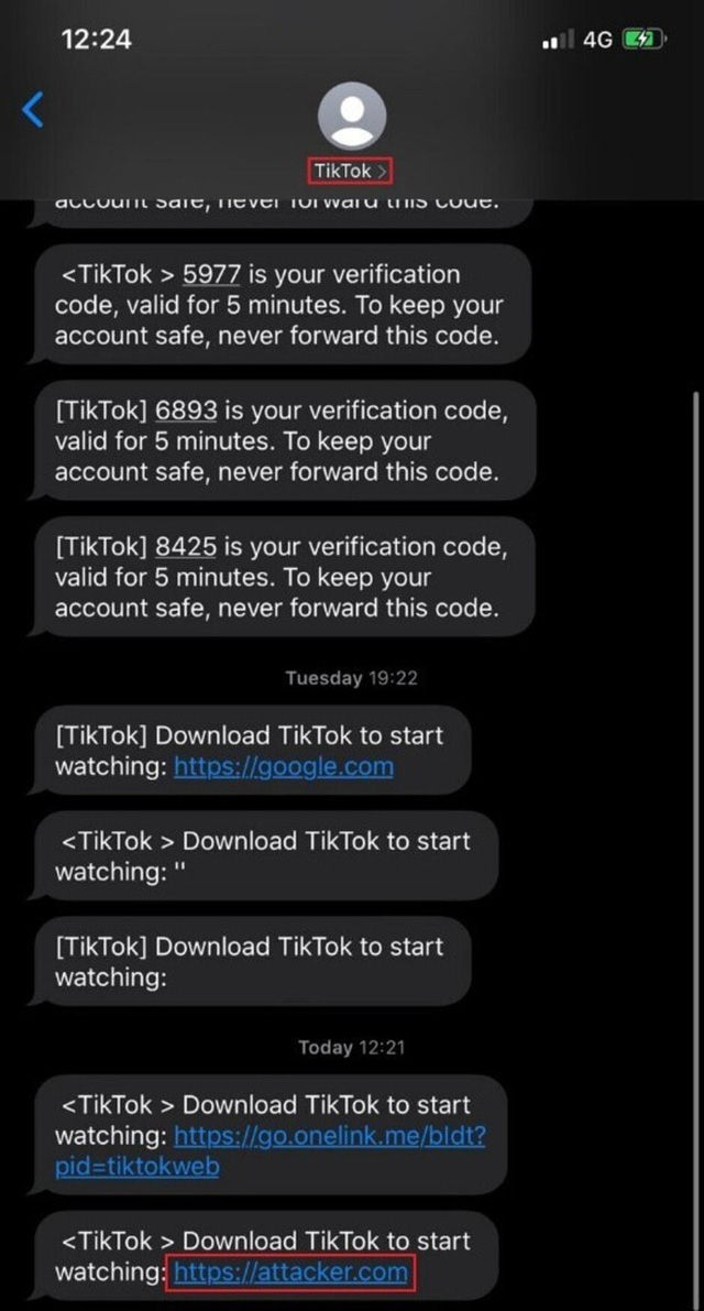 Tin nhắn mạo danh TikTok được gửi tới người dùng. 