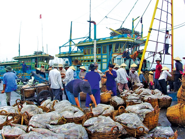 Năm 2019, xuất khẩu hải sản Việt Nam đạt 3,2 tỷ USD. 