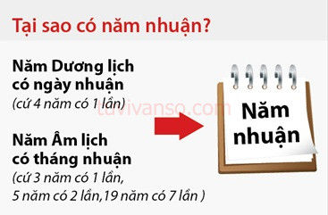 Năm 2020 có nhuận không, nhuận vào tháng mấy? 