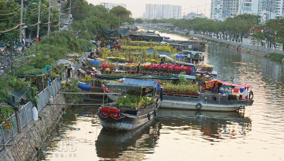 Từ 20 tháng Chạp, nhiều nhà vườn từ các tỉnh Vĩnh Long, Đồng Tháp, Bến Tre… đã vận chuyển hoa kiểng bằng ghe, thuyền cập bến Bình Đông bắt đầu kinh doanh hoa Tết. Đây là một trong những chợ hoa xuân đặc biệt của TP Hồ Chí Minh với khung cảnh “trên bến dưới thuyền”.