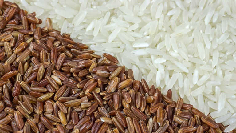 Gạo xuất khẩu giữ giá tăng, nguồn cung dồi dào