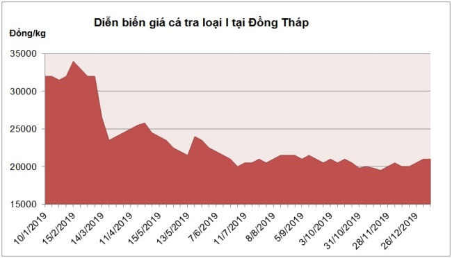 Sau dịch dịch virus corona, giá cá tra có thể tăng mạnh