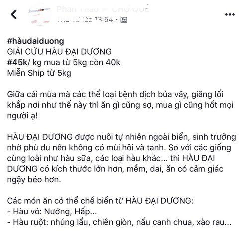 Hàu đại dương bán trên mạng chỉ 45.000 đồng/kg.