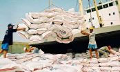 Tạm dừng xuất khẩu gạo vào ngày 24/3. Ảnh: PLO