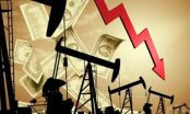 Giá dầu Brent xuống đáy 17 năm: 'Thử thách' năng lực lưu trữ dầu toàn cầu 