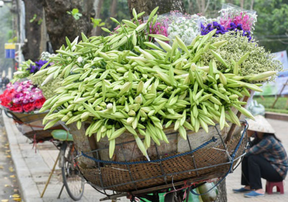 Hoa loa kèn trên phố Nguyễn Trãi (Ảnh: Tin tức).