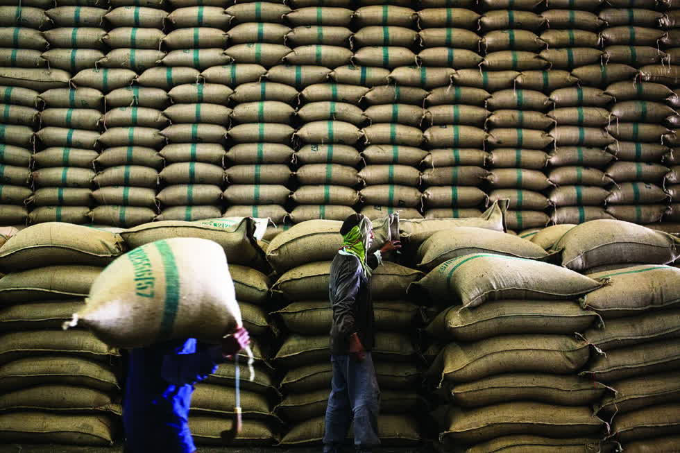 Sau khi ban bố tình trạng cách ky xã hội, giá gạo xuất khẩu của Ấn Độ đã không được cập nhật trong 2 tuần vừa qua.