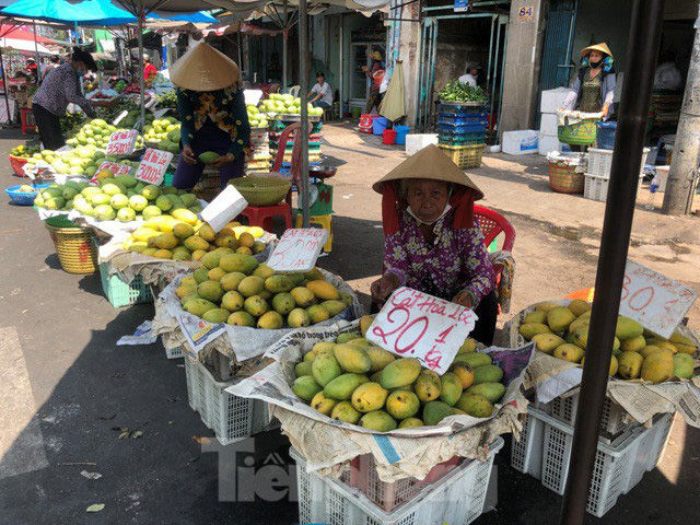 Nhiều loại trái cây giảm mạnh tại chợ lẻ TP.HCM.