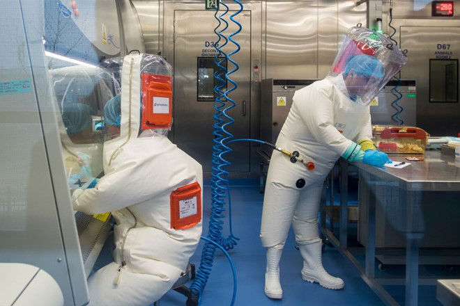 Các chuyên gia làm việc tại Viện nghiên cứu virus Vũ Hán, Trung Quốc. 