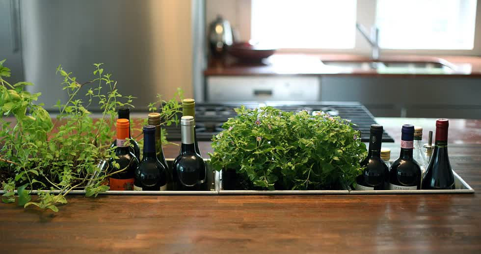 Biến những chậu cây nhỏ thành một phần không thể thiếu trong căn bếp của bạn.