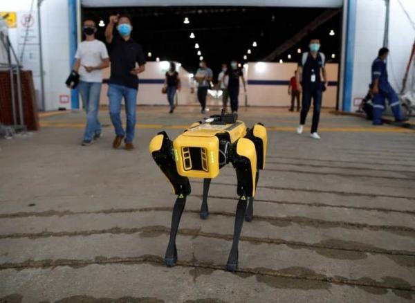   Giới chức cho hay một loại chó robot 4 chân do hãng Boston Dynamics chế tạo đang được thử nghiệm tại bệnh viện dã chiến này, với nhiệm vụ là mang thuốc hoặc đo nhiệt độ cho các bệnh nhân.  