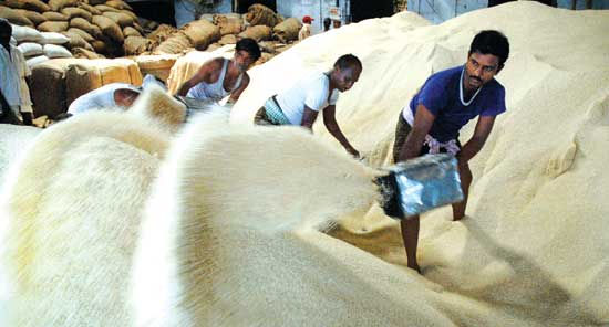 Giá gạo xuất khẩu Ấn Độ tăng mạnh.