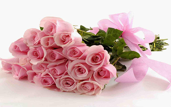 Ý nghĩa màu sắc và số lượng của từng loại hoa hồng trong tình yêu